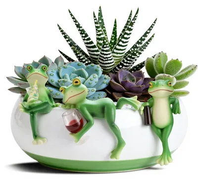 Image de Omgoods - Ensemble de 3 petites figurines de grenouilles décoratives pour le jardin