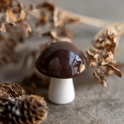 A decorative mushroom figurine with a brown cap and white stem, placed on a textured surface with dried leaves and pinecones in the background.