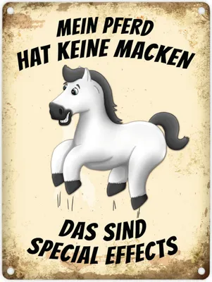 Produktbild von Metallschild mit weißes Pferde Motiv und Spruch: Mein Pferd hat keine Macken,