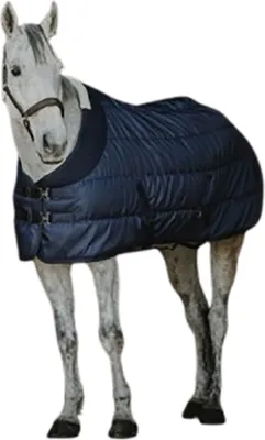 Image de Couverture d'écurie Equithème Confortech 200g