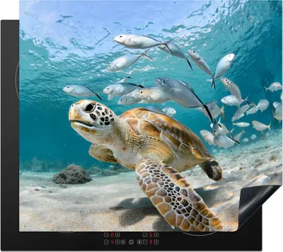 Produktbild von KitchenYeah© Herdabdeckplatte Schildkröte - Fisch - Meer , 59x52cm, Küche Deko, Glaskeramikkochfeld Herdabdeckung, Abdeckplatte fùr Kochfeld