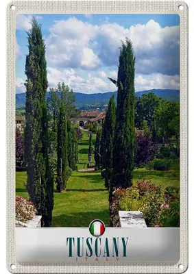 Produktbild von Blechschild Reise 20x30cm Toskana Italien Natur Bäume Dekoration