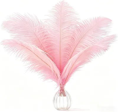 Imagen del producto de Plumas de avestruz, 12 unidades, de 25 a 30 cm de longitud, teñidas, para decoración