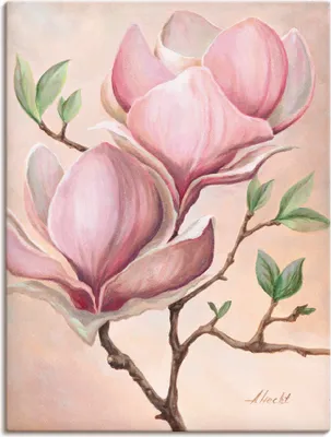 Produktbild von ARTland Leinwandbild Magnolienblüten Größe: 60x80 cm