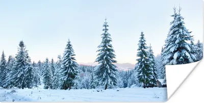 Produktbild von MuchoWow® Poster Winter - Schnee - Bäume 80x40 cm - Wanddeko