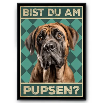 Produktbild von Mastiff - Bist du am Pupsen? Hunde Poster Badezimmer Gästebad Wandbild Klo Toilette Dekoration Lustiges Gäste-WC Bild DIN A4 – DIN A4 mit Rahmen | Schwarz