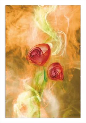 Produktbild von Wallario Wandbild Abstrakte Rosen, Größe: 61 x 91,5 cm, Poster mit rahmenlosen Bildhalter