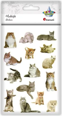 Produktbild von Dekorative konvexe Aufkleber Cats 15 Stück Titanum