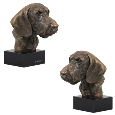 Imagen del producto de Art-Dog Busto – Teckel de pelo duro – moldeado en polvo de bronce y resina