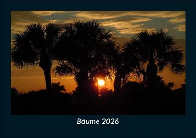 Produktbild von Bäume 2026 Fotokalender - Querformat DIN A5, Monatskalender mit Bild-Motiven aus Fauna und Flora, Natur, Blumen und Pflanzen