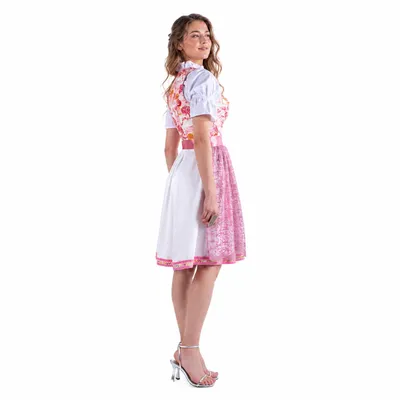 Produktbild von 2-teiliges Trachtenkleid (Kleid + Schürze) in Rosa/Beige/gebrochenes Weiß, KI-generiertes Bild