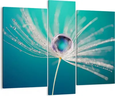 Produktbild von Bild auf Leinwand - Leinwandbild - Pflanze Natur - 95x80cm - Wand Bild - Wanddeko - Wandbilder - Leinwanddruck - Bilder - Kunstdruck - Wanddekoration - Leinwand bilder - Wandkunst - CB95x80-3991