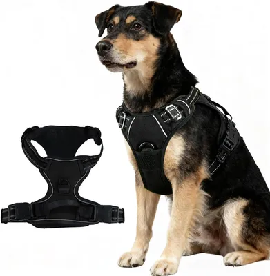 Imagen del producto de Arnés para perros, talla mediana, reflectante, transpirable, tamaño M, ideal para paseos