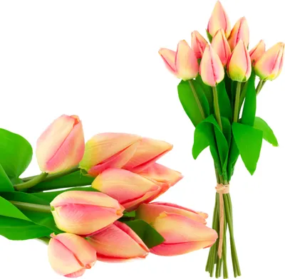 Obrázek produktu pro Kytice tulipánů, 12 uzavřených růžových květů