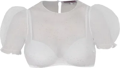 Produktbild von Dirndlbluse Kochel Kurzarm Puffarm lichtgrau 40