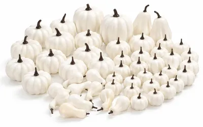 Mini-Kunstkürbisse-Set, 52 Stück, weiß, Kunststoff, für Herbstdeko
