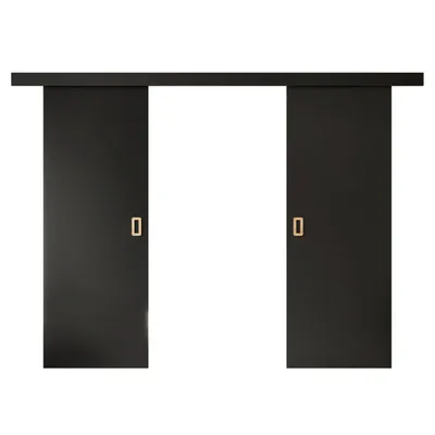 Produktbild von Schiebetüren WAYATT DUO mit Griff, Schwarz, Soft-Close-System, 172 cm