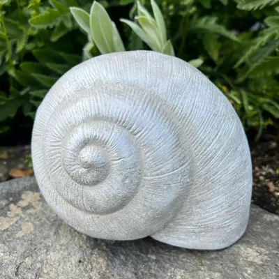 Produktbild von Betonfigur Schneckenhaus mit silberner Patina - , maritime Dekoration