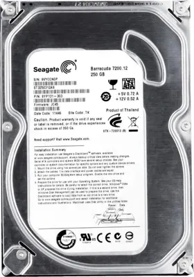 Immagine prodotto di Seagate Hdd Hard Disk 250gb 3,5" Computer Fisso Desktop Server Nas Dvr Pc