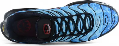 A top-down view of a single Nike Air Max Plus TN sneaker.