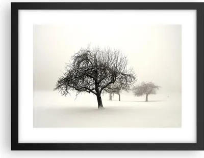 Produktbild von Gerahmtes Poster - Schwarzer Rahmen - Bäume Schnee Nebel - 40x30 cm - Wand Bild - Wanddeko - Wandbilder - Kunstposter - Wandposter - Bilderrahmen - Bilder - Kunstdruck - Wandbild - P2BAA40x30-4136