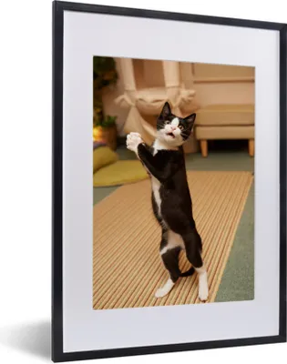 Produktbild von MuchoWow® MuchoWow® Gerahmtes Poster Katze - Wohnzimmer - Schwarz 30x40 cm - Poster mit zchwarzem Bilderrahmen - Wandposter Schlafzimmer