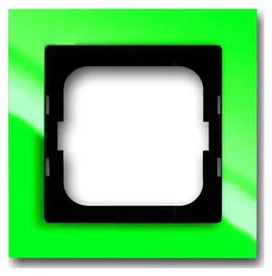 Image de Busch-Jaeger Cadre simple vert 1721-286