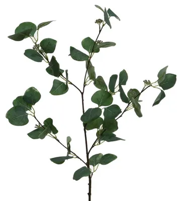 Produktbild von Eukalyptus Zweig Kunstzweig Dekozweig grün
