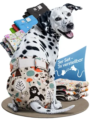 Produktbild von HUND IST KÖNIG Windeln für Hündinnen [3 Stk], M (Taille 40-52 cm), saugstarke Windeln, 3-Fach justierbar für festen Sitz bei Läufigkeit & Inkontinenz