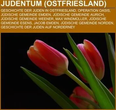 Produktbild von Judentum (Ostfriesland)