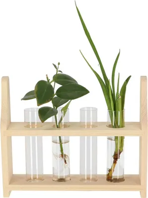 Produktbild von Esschert Design | Blumenständer mit 4 Glasröhren - Naturholz - Stilvoll - Dekorativ - Vielseitig