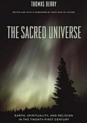 Produktbild von The Sacred Universe