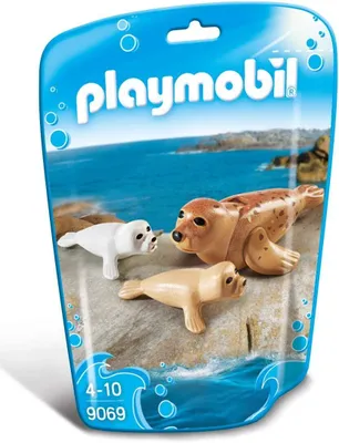 Zdjęcie produktu dla PLAYMOBIL FamilyFun 9069, 4 lat(a), Wielobarwny