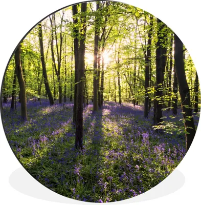 Produktbild von MuchoWow® Aluminium Wandkreis Wald - Blumen - Lavendel Ø 60 cm Wanddeko Modern Wohnzimmer - Wand Kreis - Wandbild - Schlafzimmer - Aluminium Bild - Kinderzimmer - Wohnzimmer Dekoration - Wandschmuck