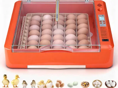 Produktbild von VEVOR Brutautomat Vollautomatisch 36-Eier, Eierinkubator, mit Eierwender, Temperatur- & Feuchtigkeitsregelung, Inkubator Brutmaschine zum Ausbrüten von Küken, Enten, Gänsen & Wachteln