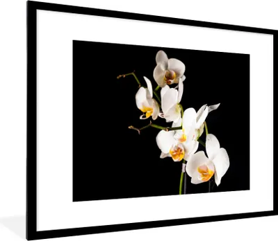 Produktbild von MuchoWow® Gerahmtes Poster Orchidee - Blumen - Pflanzen - Botanisch 80x60 cm - Poster mit Schwarzem Bilderrahmen Wandposter Rahmen Foto Bilder - Schlafzimmer-Dekorationen - Fotoposter