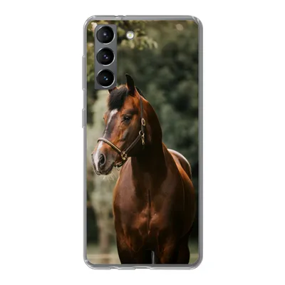 Produktbild von MuchoWow® Handyhülle Schutzhülle Hülle für Samsung Galaxy S21 Pferd - Äste - Porträt Silikon Softcase Handy Hülle - Softcase