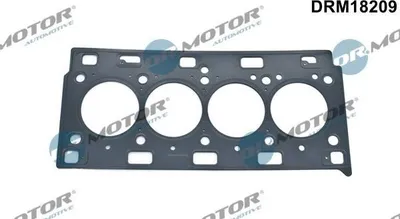 Produktbild von DR.MOTOR AUTOMOTIVE DRM18209 Zylinderkopfdichtung für RENAULT ESPACE IV (JK0/1) MASTER II Kasten (FD) LAGUNA II Grandtour (KG0/1) LAGUNA II (BG0/1)