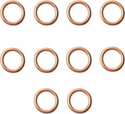 Immagine prodotto di 10 guarnizioni per tappo di scarico olio in rame 16x22x2