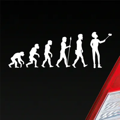 Produktbild von Auto Aufkleber Evolution Selfie Stick Handy Entwicklung Darwin 19x6,7 cm Weiss Matt Sticker Heckscheibenaufkleber