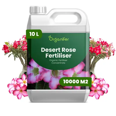 Produktbild von Wüstenrosen Flüssigdünger 10L – 2-1-8 NPK – Flüssigdünger Für Sukkulenten – Für Blätter & Üppige Blüte – Fördert Wurzeln & Vitalität – Organifer