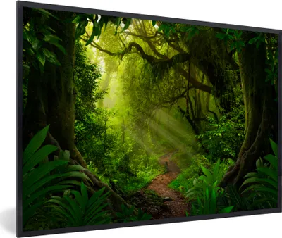 Produktbild von MuchoWow® MuchoWow® Gerahmtes Poster Dschungel - Pflanzen - Asien - Jungen - Mädchen - Kind 90x60 cm - Poster mit zchwarzem Bilderrahmen - Fotorahmen - Foto-Plakat