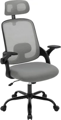 Produktbild von WOLTU Bürostuhl ergonomisch, Lendenwirbelstütze, Wippfunktion, Netzstoff : Grau Farbe: Grau