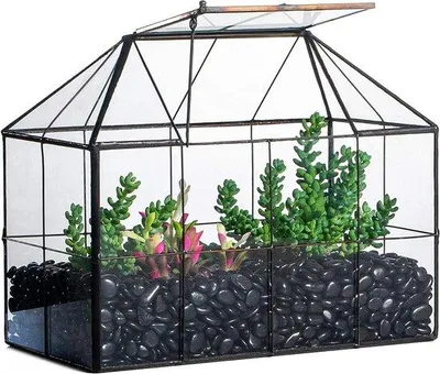 Produktbild von Glaskäfig - Terrarium - 1 Stück - schwarz - 25 x 13,5 x 20 cm
