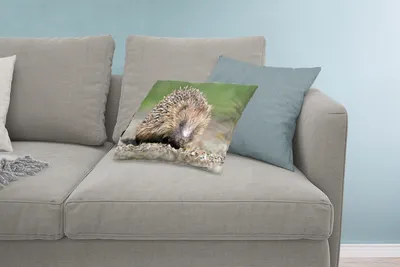 Produktbild von MuchoWow® Zierkissen Sofakissen Wohnzimmer Dekokissen 60x40 cm Igel auf Schotter - Kopfkissen - Polster mit Foto