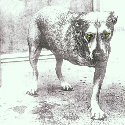 Immagine prodotto di Alice In Chains