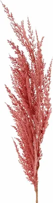 Produktbild von artplants.de Dekozweig Pampasgras Rispe Erato, rosa, 100cm - Pampasgras Kunstpflanze