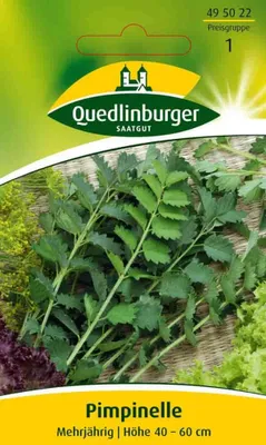 Produktbild von Quedlinburger Saatgut - Pimpinelle - Samen - 495022