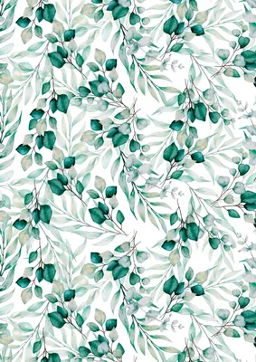 Produktbild von Transparentpapier "Eukalyptus", 50 x 60 cm