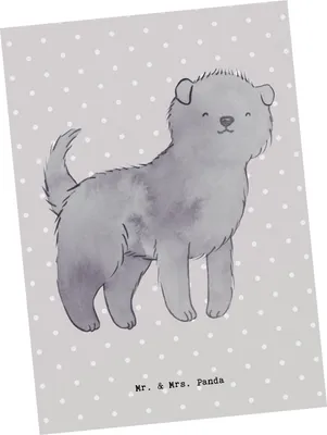 Produktbild von Mr. & Mrs. Panda Ansichtskarte Affenpincher Lebensretter - Grau Pastell - Geschenk, Kunstkarten, Grußkarte, Postkarte, Ansichtskarten, Postkarten